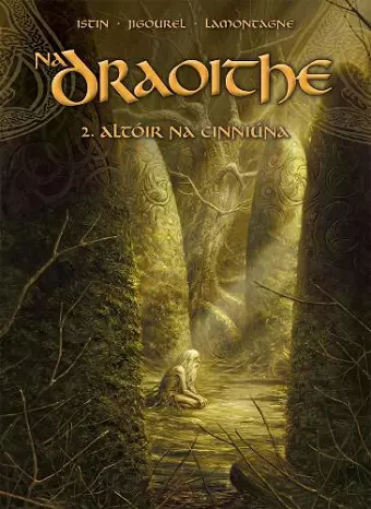 Na Draoithe 2: Altóir na Cinniúna cover
