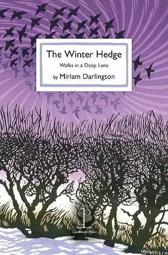 The Winter Hedge cover