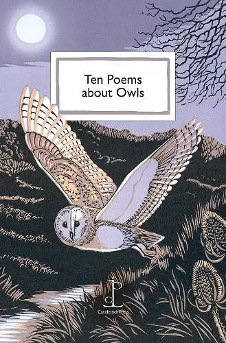 Ten Poems about Owls cover