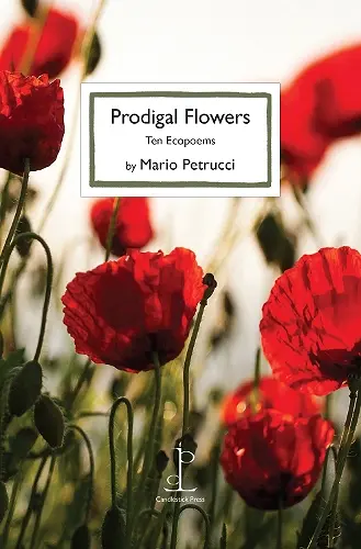 Prodigal Flowers cover