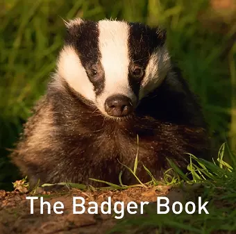 The Nature Book Series: The Badger Book cover