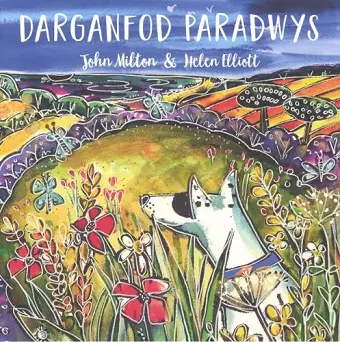 Darganfod Paradwys cover