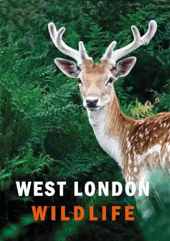 West London Wildlife cover