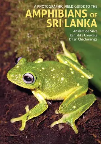 A Photographic Field Guide to the Amphibians of Sri Lanka cover