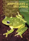 A Photographic Field Guide to the Amphibians of Sri Lanka cover