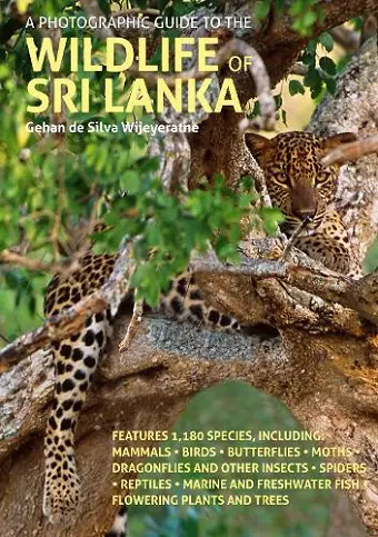 A Photographic Guide to the Wildlife of Sri Lanka cover