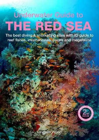 An Underwater Guide to the Red Sea (2nd) cover