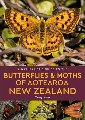 A Naturalist's Guide to the Butterflies & Moths of Aotearoa New Zealand cover