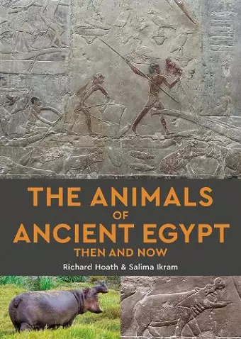 The Animals of Ancient Egypt Then and Now cover