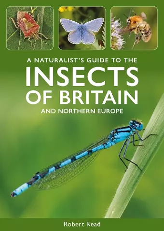 A Naturalist's Guide to the Insects of Britain and Northern Europe cover