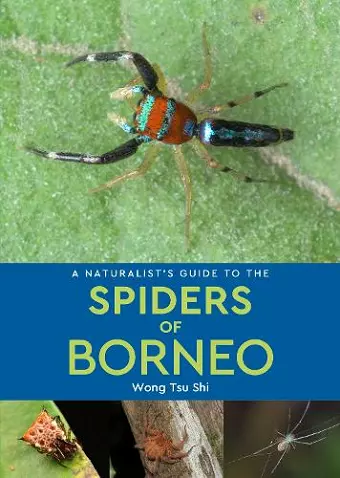 A Naturalist's Guide to the Spiders of Borneo cover