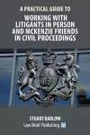 A Practical Guide to Working With Litigants in Person and McKenzie Friends in Civil Proceedings cover