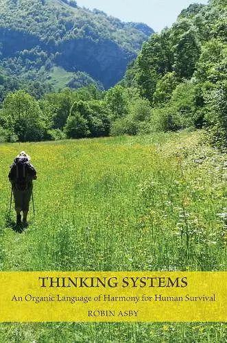 Thinking Systems cover