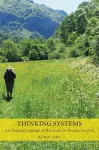 Thinking Systems cover