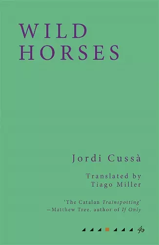 Wild Horses cover