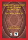 Geometry & Colours of Meliponine Brood Cells cover