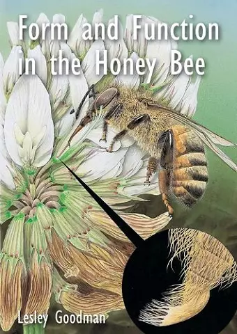 Form and Function in the Honey Bee cover