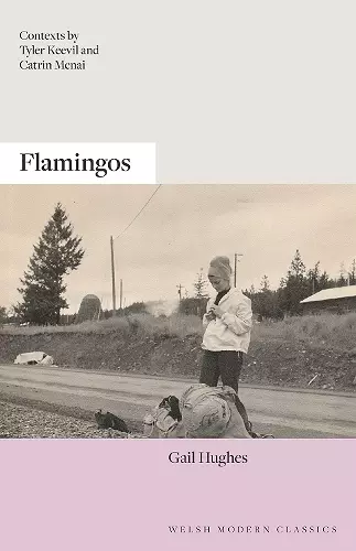 Flamingos cover