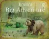 Bruin's Big Adventure cover