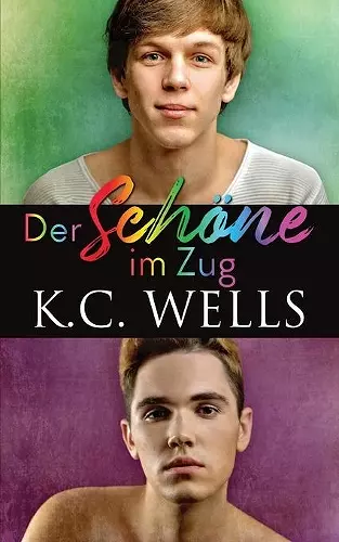 Der Schöne im Zug cover