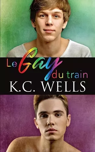 Le gay du train cover