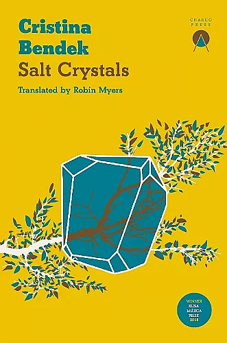 Salt Crystals cover