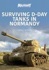 Surviving D-Day Tanks in Normandy cover