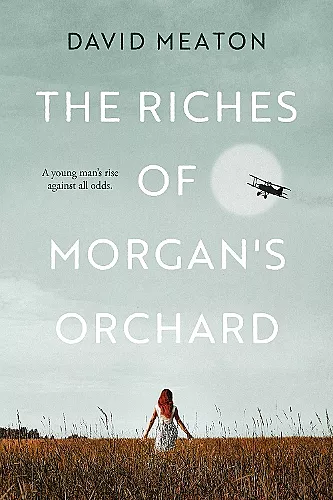 The Riches of Morgan's Orchard cover