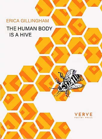 The Human Body Is A Hive cover