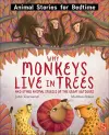 Why Monkeys Live In Trees and Other Animal Stories of the Great Outdoors cover