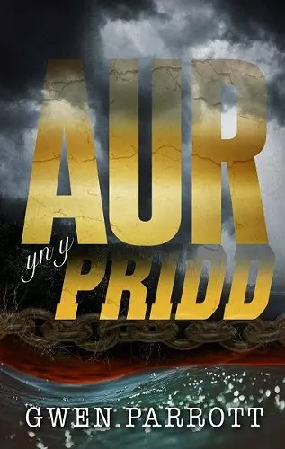 Aur yn y Pridd cover