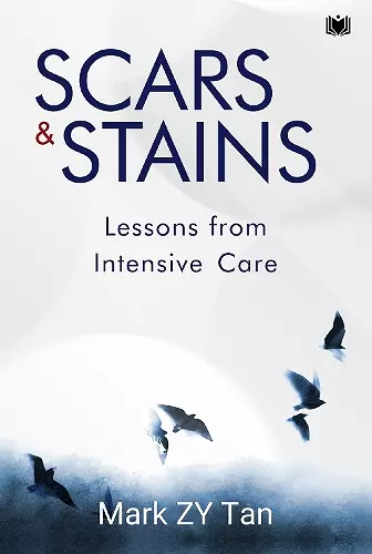 Scars & Stains cover