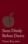 Seen Dimly Before Dawn cover