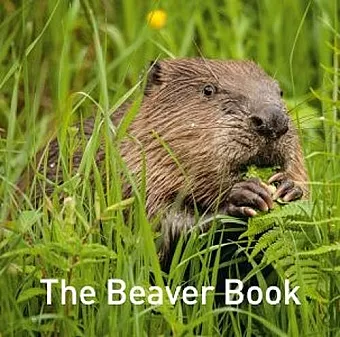 Beaver Book, The cover