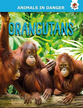Orangutans cover