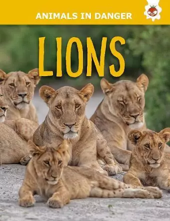 Lions cover