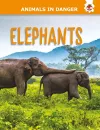 Elephants cover