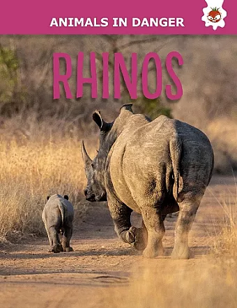 Rhinos cover