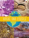 Rocks and Fossils cover