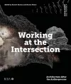 Design Studio Vol. 4: Working at the Intersection cover