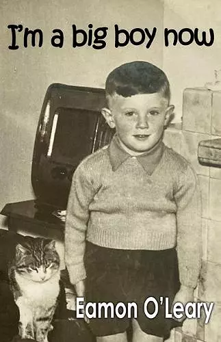 I'm a Big Boy Now cover