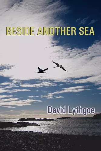 Beside Another Sea cover