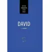 David cover