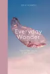 Everyday Wonder cover