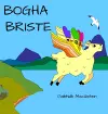 Bogha Briste cover