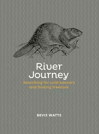 River Journey cover