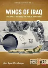Wings of Iraq Volume 2 cover