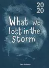 What We Lost In The Storm cover
