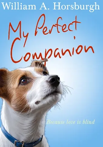 My Perfect Companion cover