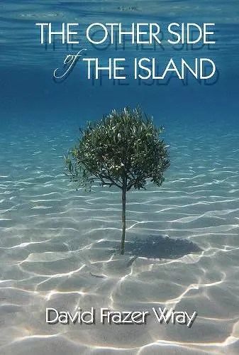 The Other Side Of The Island cover